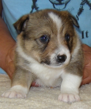 Yukon 4 weeks 1
